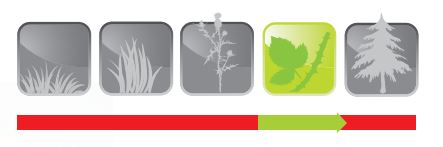 Nůž křovinořezu mulčovací 20 mm 