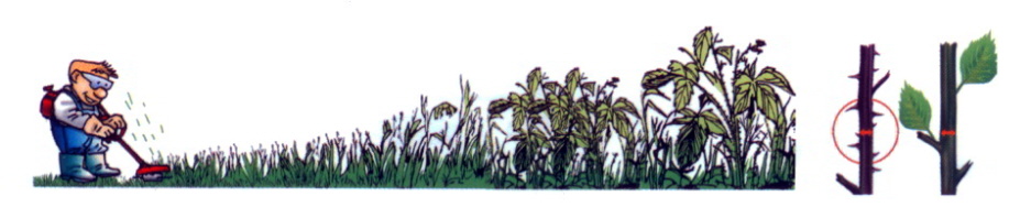 Struna Techni-Blade 6 mm x 205 ks